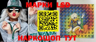 СК Владивосток