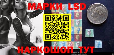 мдпв Владимир