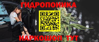 СК Владивосток